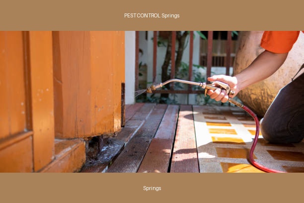 PEST CONTROL Springs